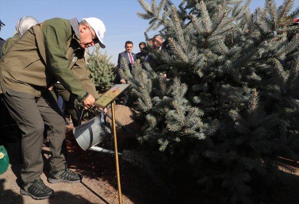 11 milyon fidan topraklarla buluştu