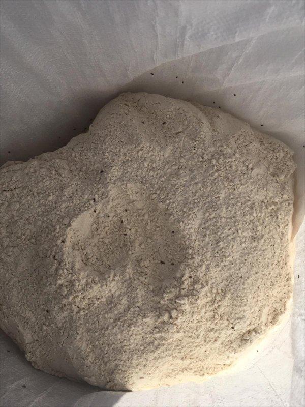 Burdur'da böcekli unları piyasaya sürerken yakalandılar