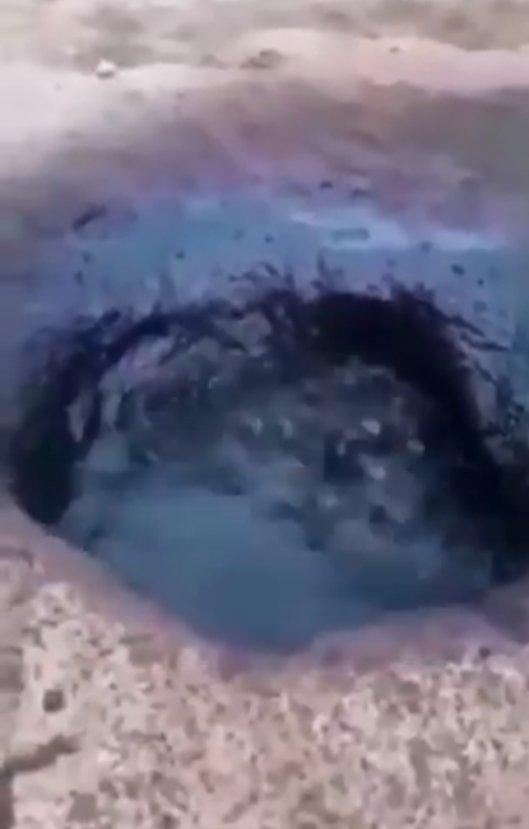 Suriye topraklarından petrol fışkırıyor