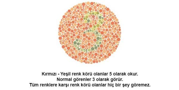 Renk körü olanların polis olamayacağı kesinleşti