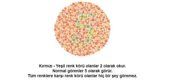 Renk körü olanların polis olamayacağı kesinleşti