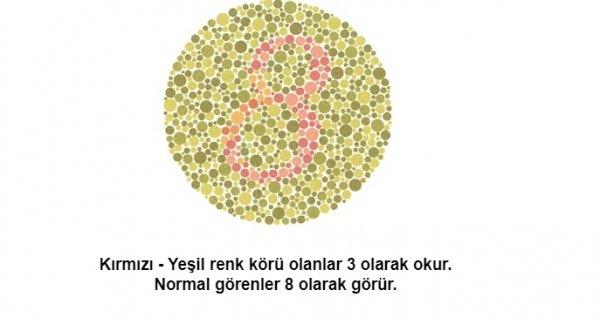 Renk körü olanların polis olamayacağı kesinleşti