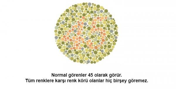 Renk körü olanların polis olamayacağı kesinleşti