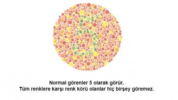 Renk körü olanların polis olamayacağı kesinleşti