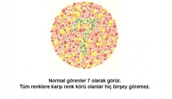 Renk körü olanların polis olamayacağı kesinleşti