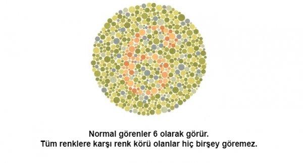 Renk körü olanların polis olamayacağı kesinleşti