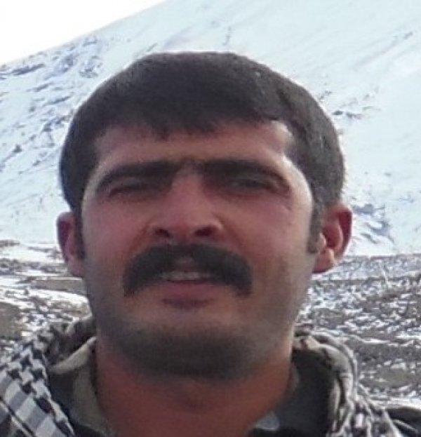 Ağrı'da öldürülen terörist gri kategoride çıktı