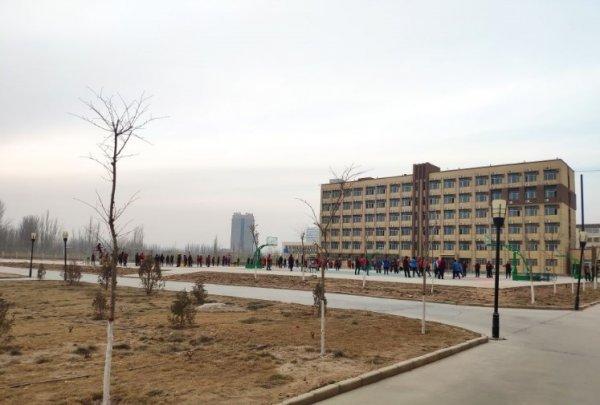 Çin'in Sincan'daki baskı politikasının belgeleri sızdı