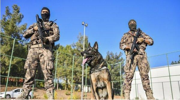 Emniyet müdürlüğünden dedektör köpeğe emeklilik partisi