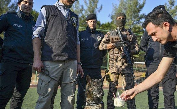 Emniyet müdürlüğünden dedektör köpeğe emeklilik partisi