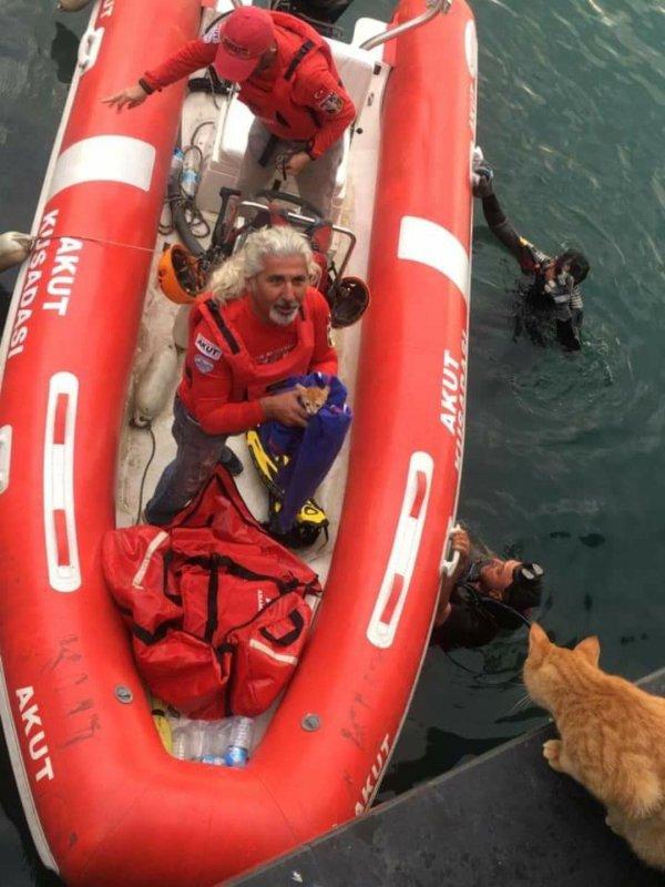 Aydın'da denize düşen yavru kediyi AKUT  kurtardı