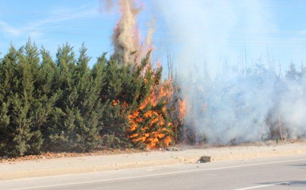 Demir parmaklıklardan kıvılcım sıçradı, yangın çıktı