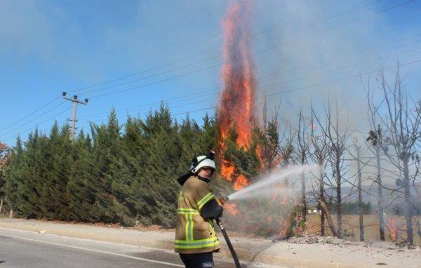Demir parmaklıklardan kıvılcım sıçradı, yangın çıktı