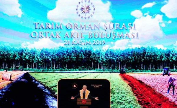 Cumhurbaşkanı, Tarım Orman Şurası'ndan alınan kararları açıkladı