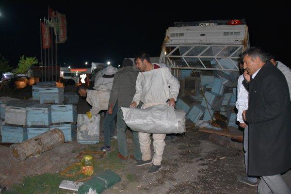 Şanlıurfa'da arı kovanları taşıyan kamyonet tırla çarpıştı