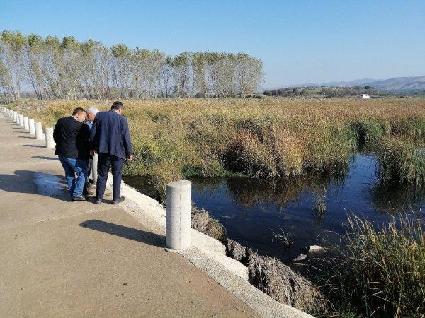 Çanakkale'de balık ölümlerine ilişkin inceleme başlatıldı