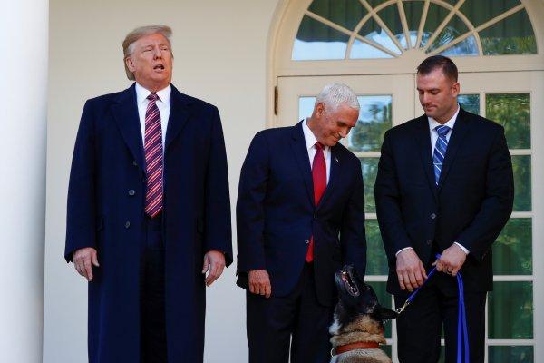 Trump'tan Bağdadi operasyonunda görevli köpeğe madalya