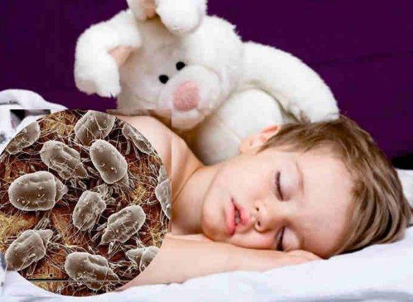 5 yıl kullanılan bir yatakta 10 milyon mite yaşıyor