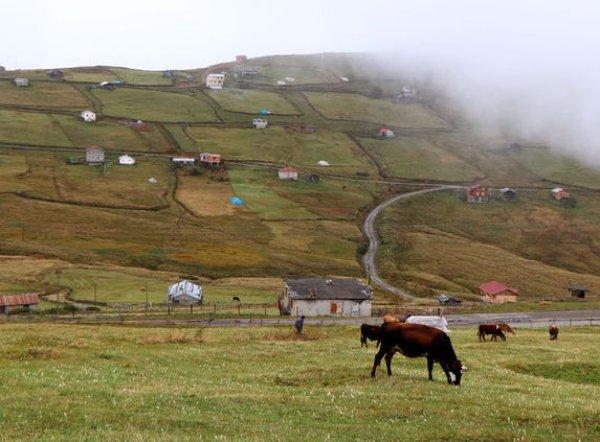 Barma Yaylası Turbalığı koruma altına alındı