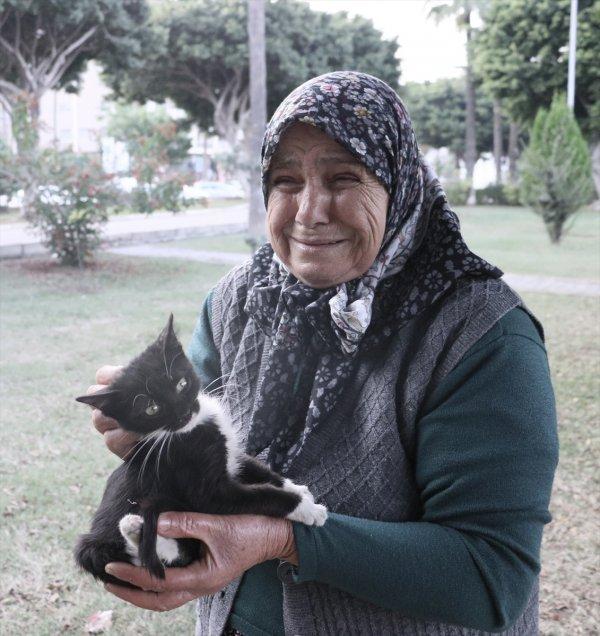 Hatay'da 4 bacağı kesilmiş ölü kedi bulundu