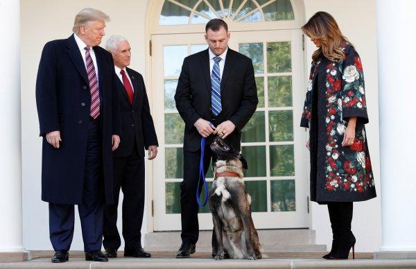 Trump'tan Bağdadi operasyonunda görevli köpeğe madalya