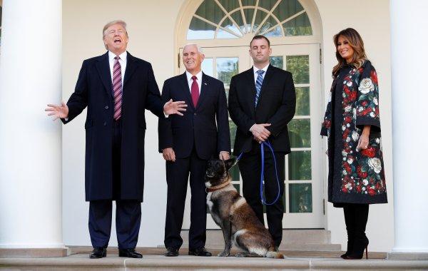 Trump'tan Bağdadi operasyonunda görevli köpeğe madalya