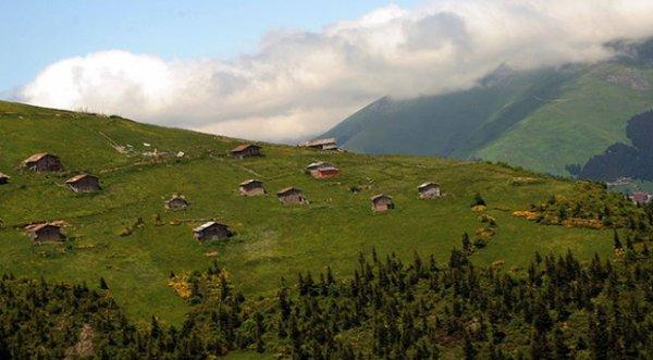 Barma Yaylası Turbalığı koruma altına alındı
