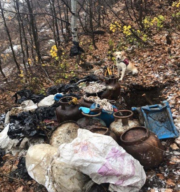 Bitlis'te 300 kilo EYP imha edildi