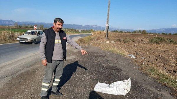 Osmaniye'de hamile köpeği çuvala koyup attılar