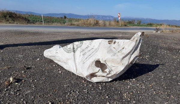 Osmaniye'de hamile köpeği çuvala koyup attılar