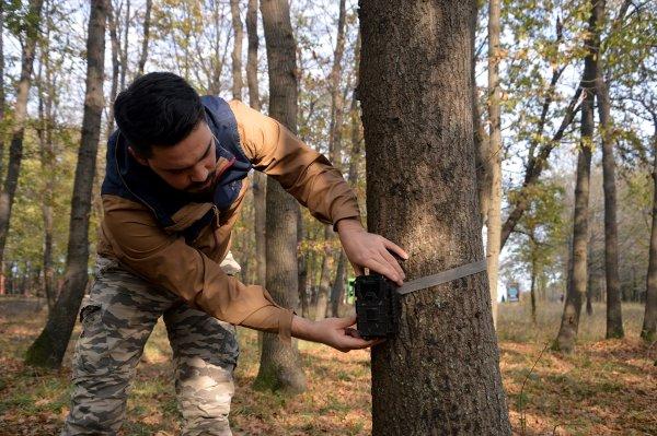 Sakarya'nın doğal yaşamı 'fotokapanlandı'