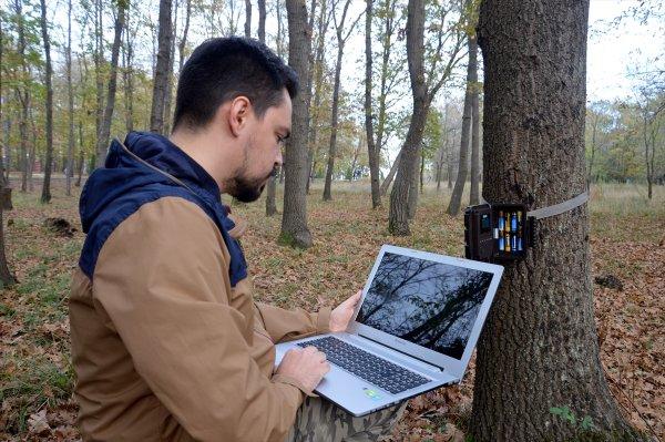 Sakarya'nın doğal yaşamı 'fotokapanlandı'
