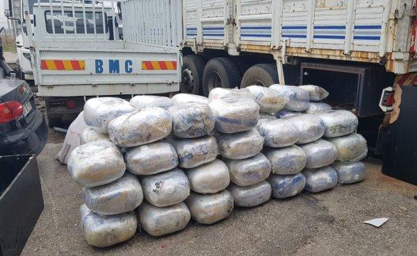Narkotik köpeği 'Tunga' 721 kilo esrar buldu