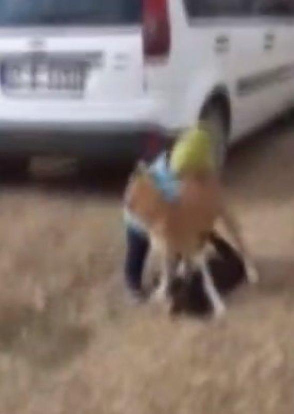 Kahramanmaraş'ta küçük çocuğun köpeğini koruduğu anlar