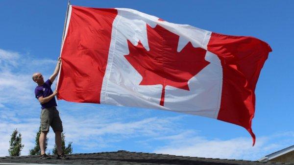 Kanada'da üniversitede esrar uzmanı yetiştirilecek