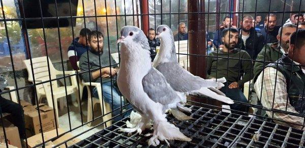 Çorbası 350 dolar olan Ejderha tavuğu