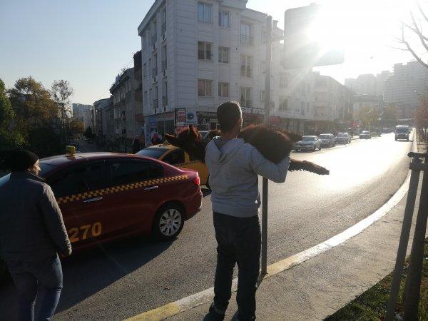 Eşek ve sıpayı gören vatandaşlar hatıra fotoğrafı çekildi