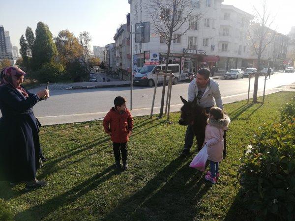 Eşek ve sıpayı gören vatandaşlar hatıra fotoğrafı çekildi