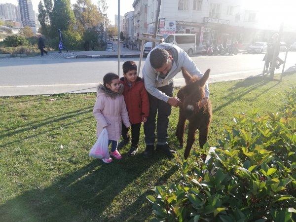 Eşek ve sıpayı gören vatandaşlar hatıra fotoğrafı çekildi