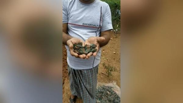 Talihin yüzüne güldüğü Hint adam