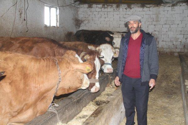 Elazığ'da direkler devrildi, köy elektriksiz kaldı