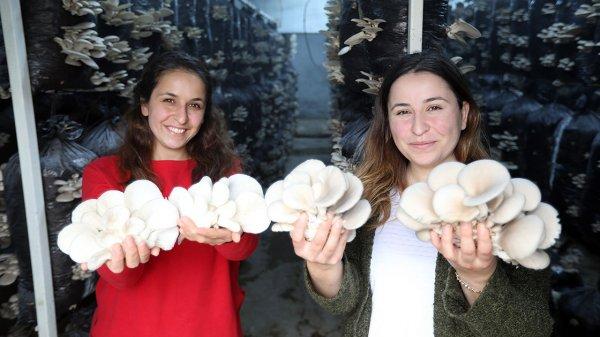 Aydınlı kız kardeşler iş bulamayınca çiftçi oldu