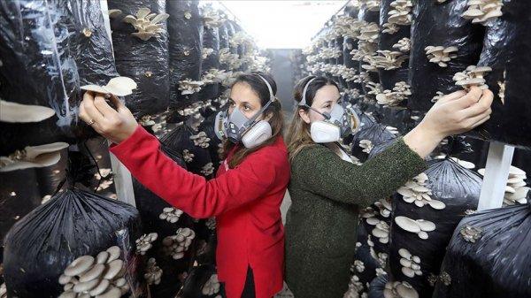 Aydınlı kız kardeşler iş bulamayınca çiftçi oldu