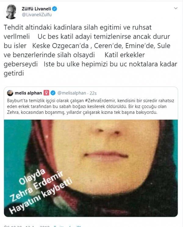 Zülfü Livaneli'den 'kadınlar silahlansın' önerisi
