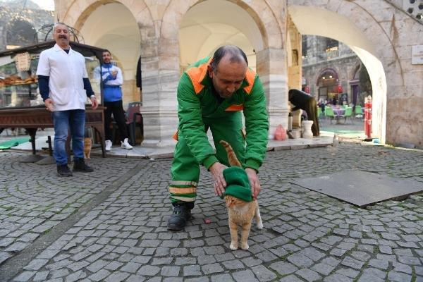 Bursa'da beresini sokak kedisine takan işçi fenomen oldu