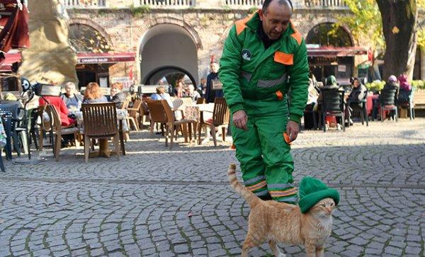 Bursa'da beresini sokak kedisine takan işçi fenomen oldu