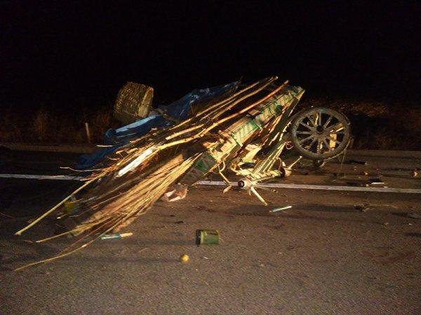 Kütahya'da otomobil at arabasına arkadan çarptı