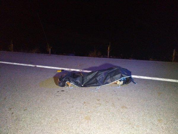 Kütahya'da otomobil at arabasına arkadan çarptı