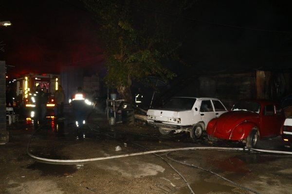 Adana'da yangında 2 köpek telef oldu