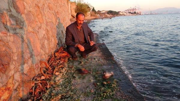 Güvercinlerini öldüren atmacayı yakalayıp görüntüledi